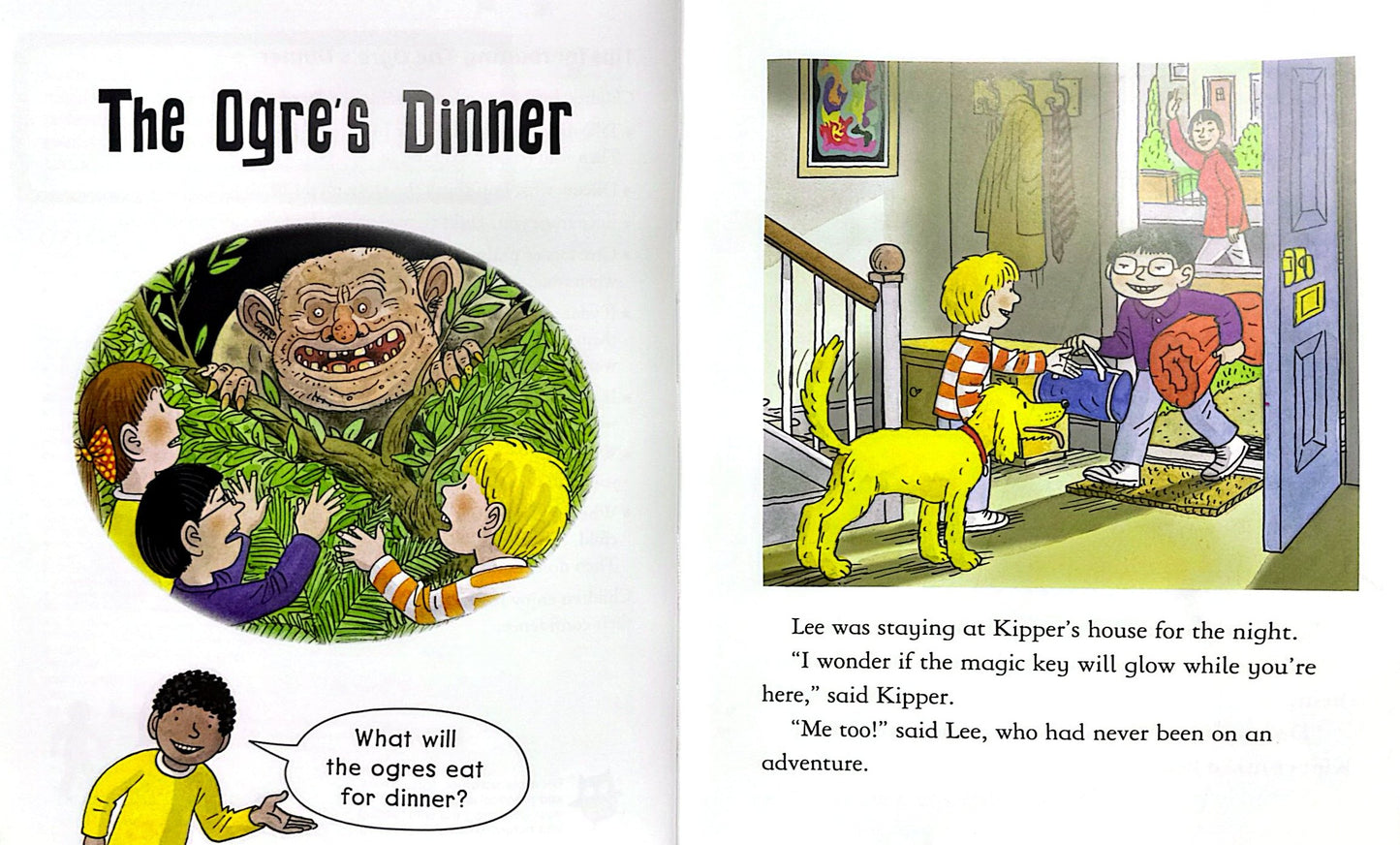 Read with Oxford: Stage 5: Biff, Chip and Kipper: Fireball in the Sky and Other Stories (Paperback)