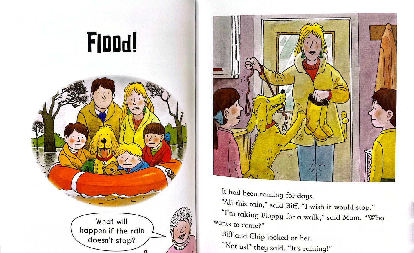 Read with Oxford: Stage 5: Biff, Chip and Kipper: The Strange Old House and Other Stories (Paperback)
