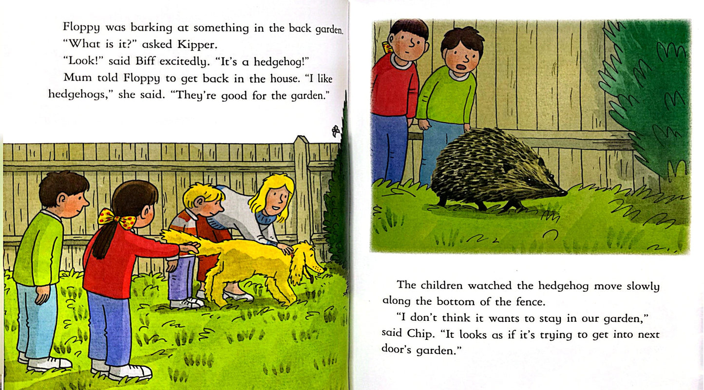 Read with Oxford: Stage 5: Biff, Chip and Kipper: Turtle Beach and Other Stories (Paperback)