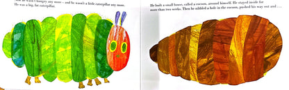 Very Hungry Caterpillar (Board book)