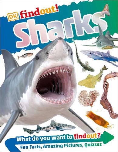 DKfindout! Sharks (Paperback)