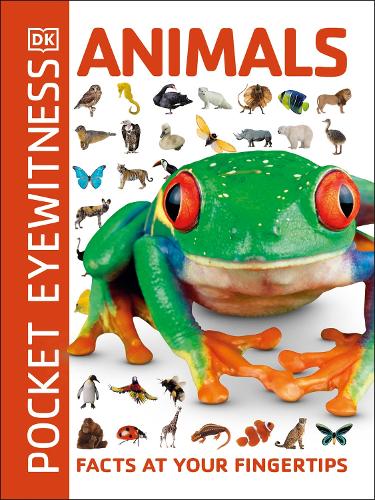 DK Pocket Eyewitness Animals (Paperback)