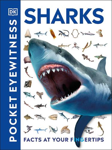 DK Pocket Eyewitness Sharks (Paperback)