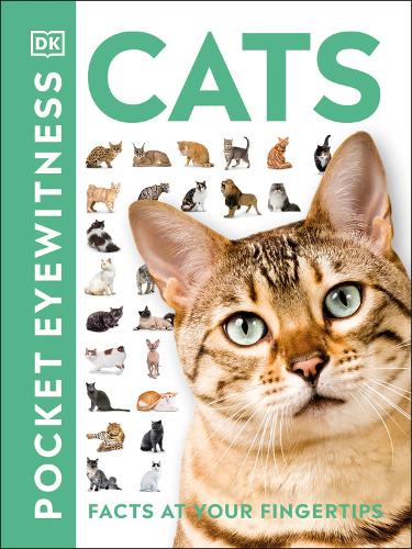 DK Pocket Eyewitness Cats (Paperback)