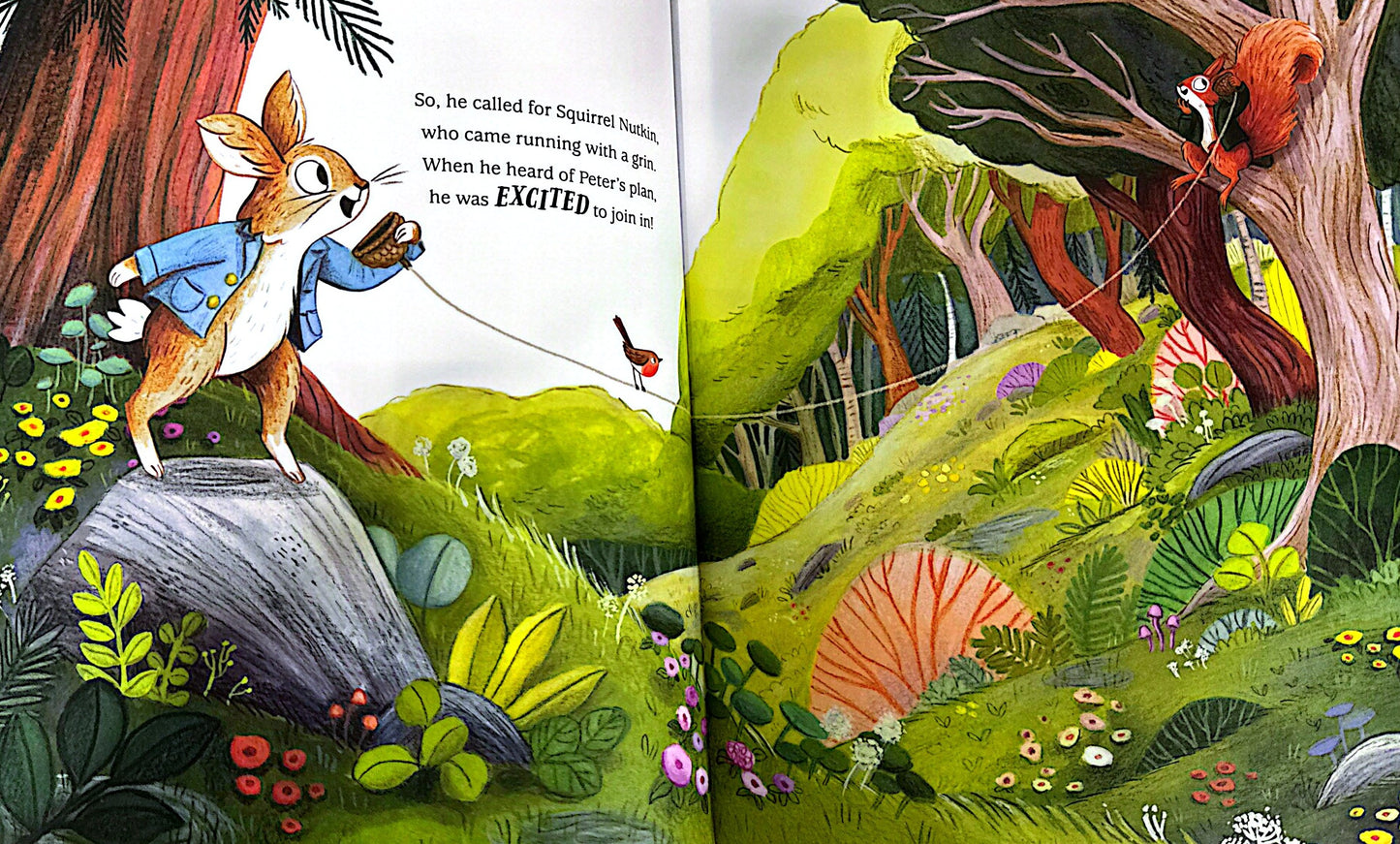 Peter Rabbit: Head Over Tail (Paperback)