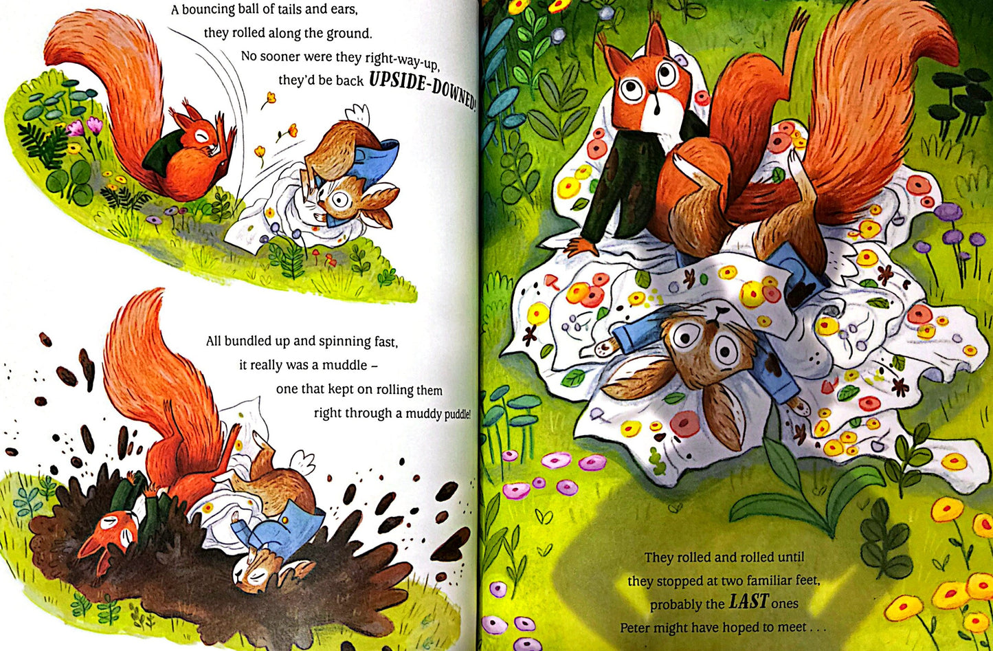 Peter Rabbit: Head Over Tail (Paperback)