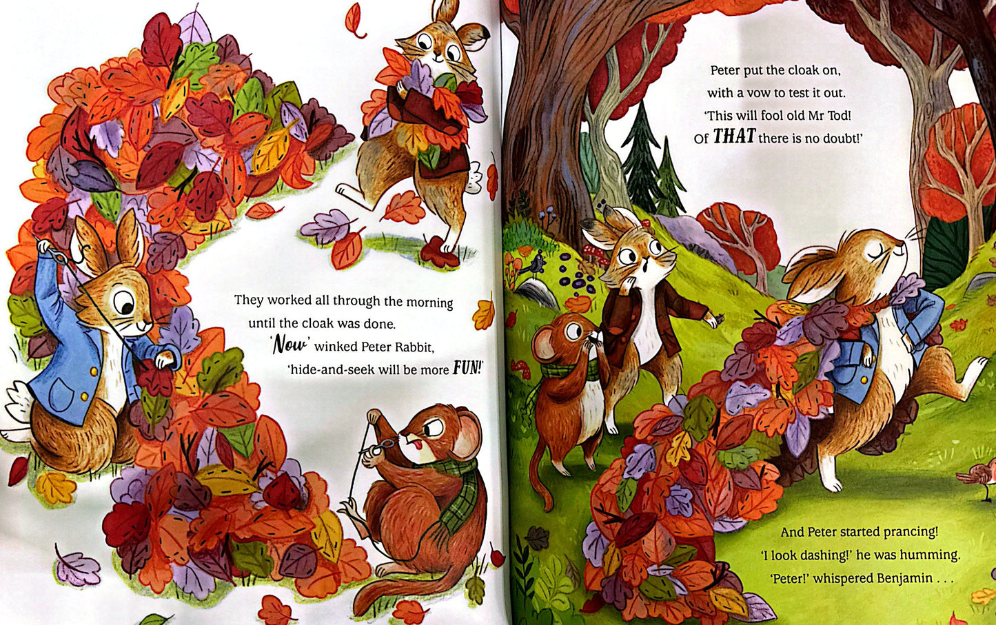 Peter Rabbit: Hide and Seek! (Paperback)