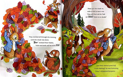 Peter Rabbit: Hide and Seek! (Paperback)