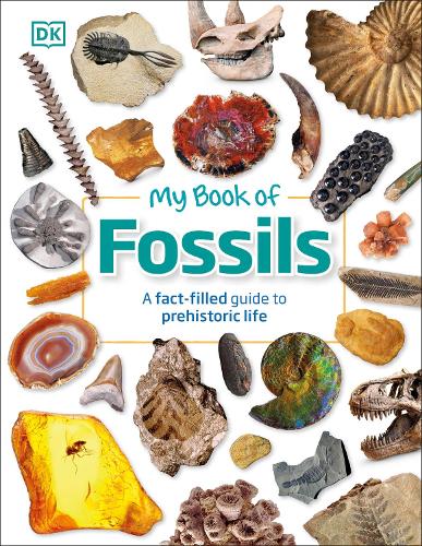 My Book of Fossils (Paperback)