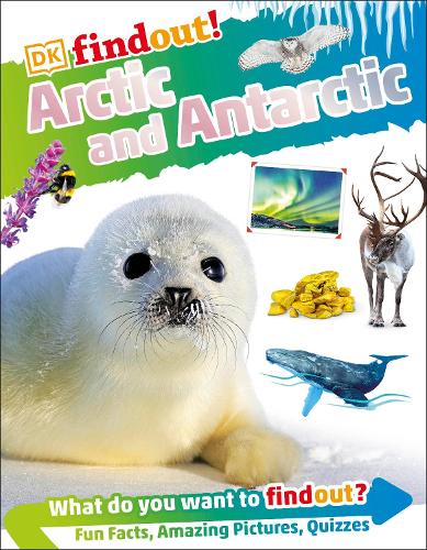 DKFindout! Arctic and Antarctic (Paperback)