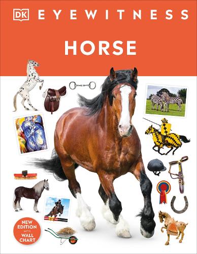 DK Eyewitness Horse (Hardback)