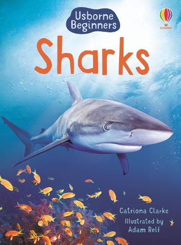 Usborne Beginners: Sharks (Hardback)