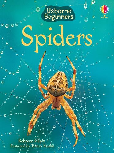 Usborne Beginners: Spiders (Hardback)