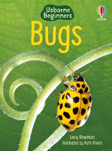 Usborne Beginners: Bugs (Hardback)