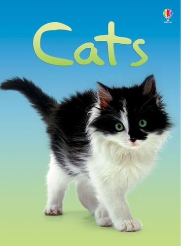 Usborne Beginners: Cats (Hardback)
