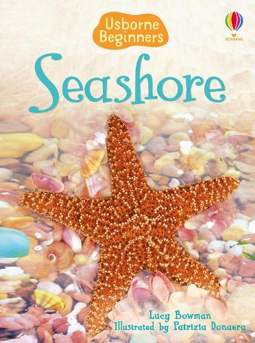 Usborne Beginners: Seashore (Hardback)