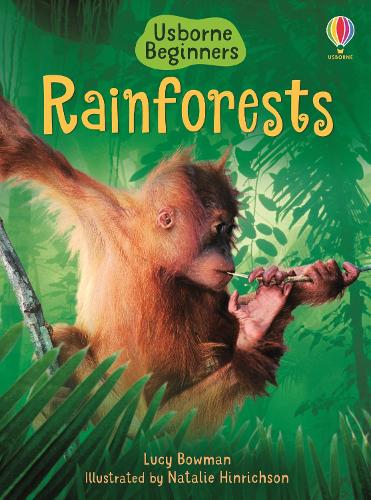Usborne Beginners: Rainforests (Hardback)