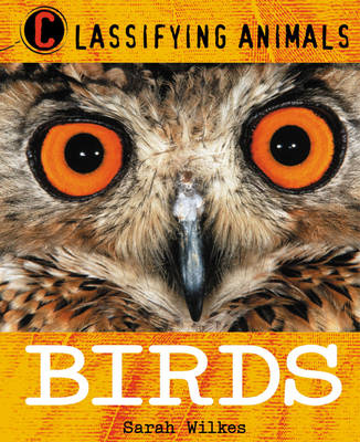 Classifying Animals Birds (Paperback)