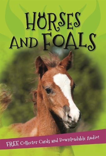 It's all about... Horses and Foals (Paperback)