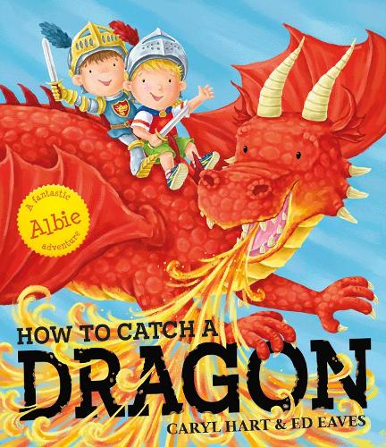 How to Catch a Dragon (Paperback)