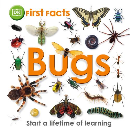 DK First Facts Bugs (Paperback)
