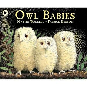 Owl Babies (Paperback)