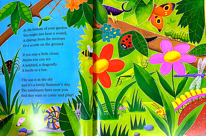 Mad About Minibeasts! (Paperback)