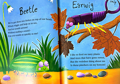 Mad About Minibeasts! (Paperback)