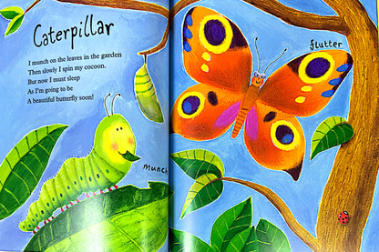 Mad About Minibeasts! (Paperback)