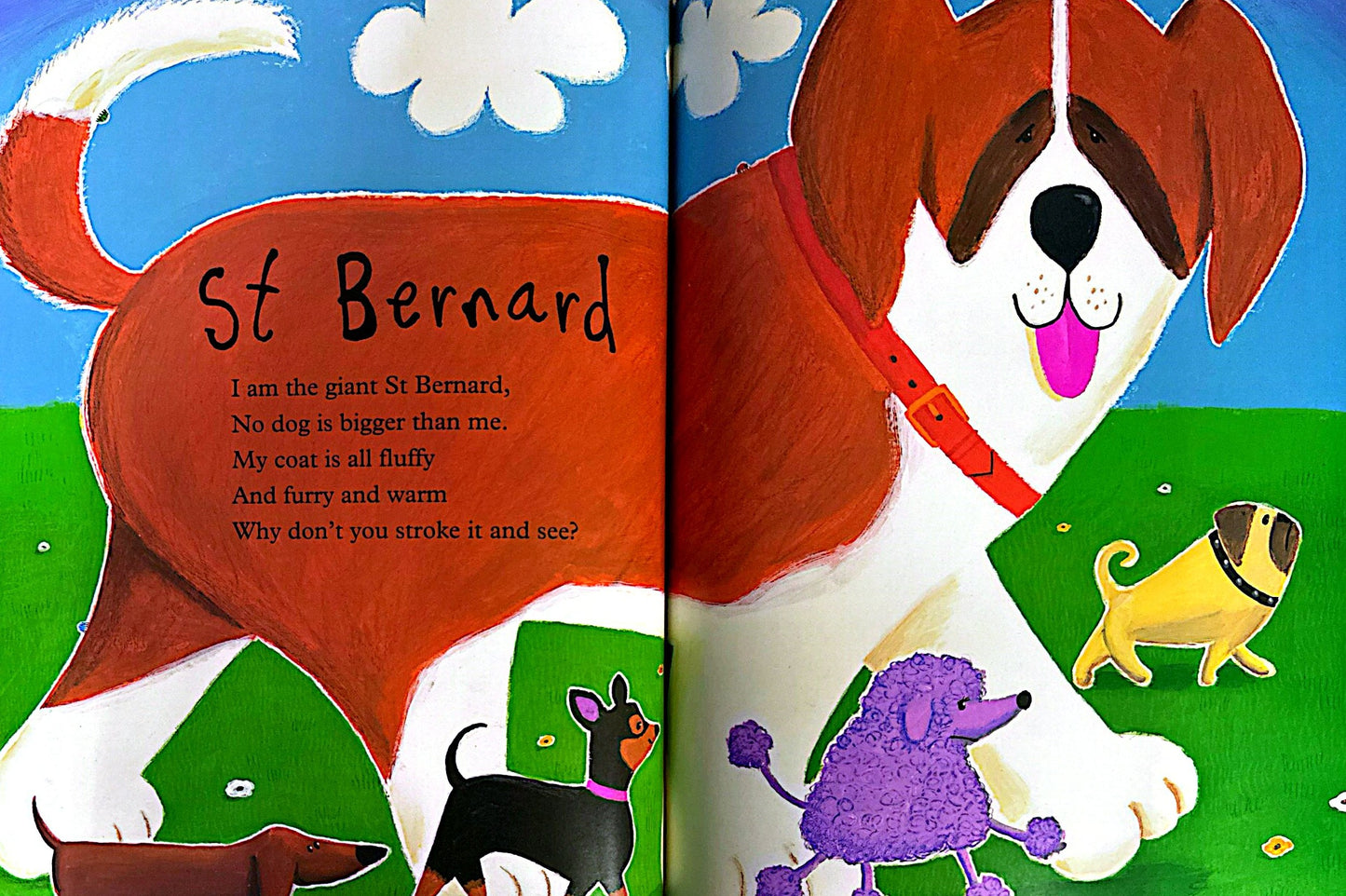 Mad About Mega Beasts! (Paperback)