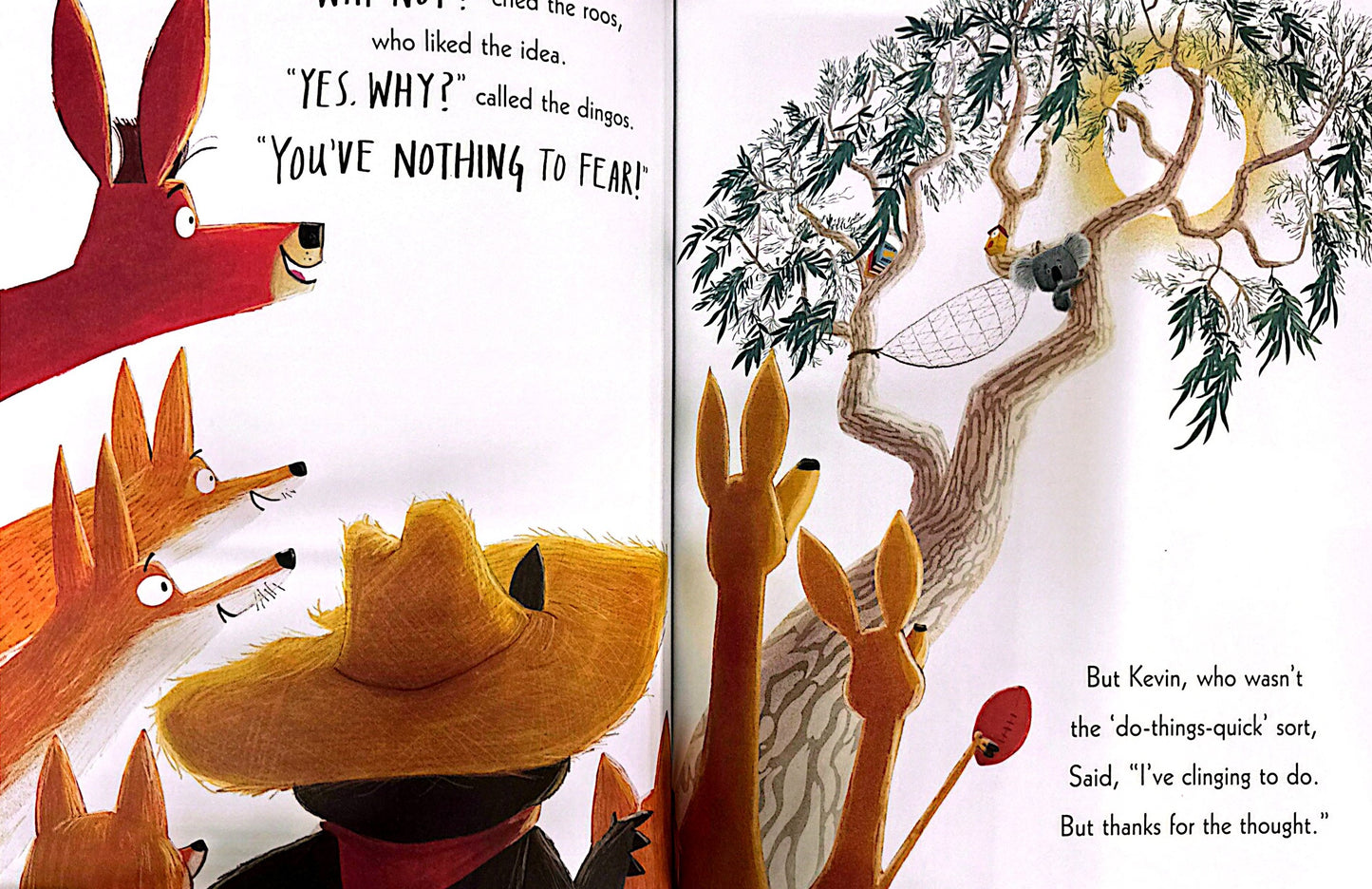 The World Of Rachel Bright & Jim Field: The Koala Who Could (Paperback)