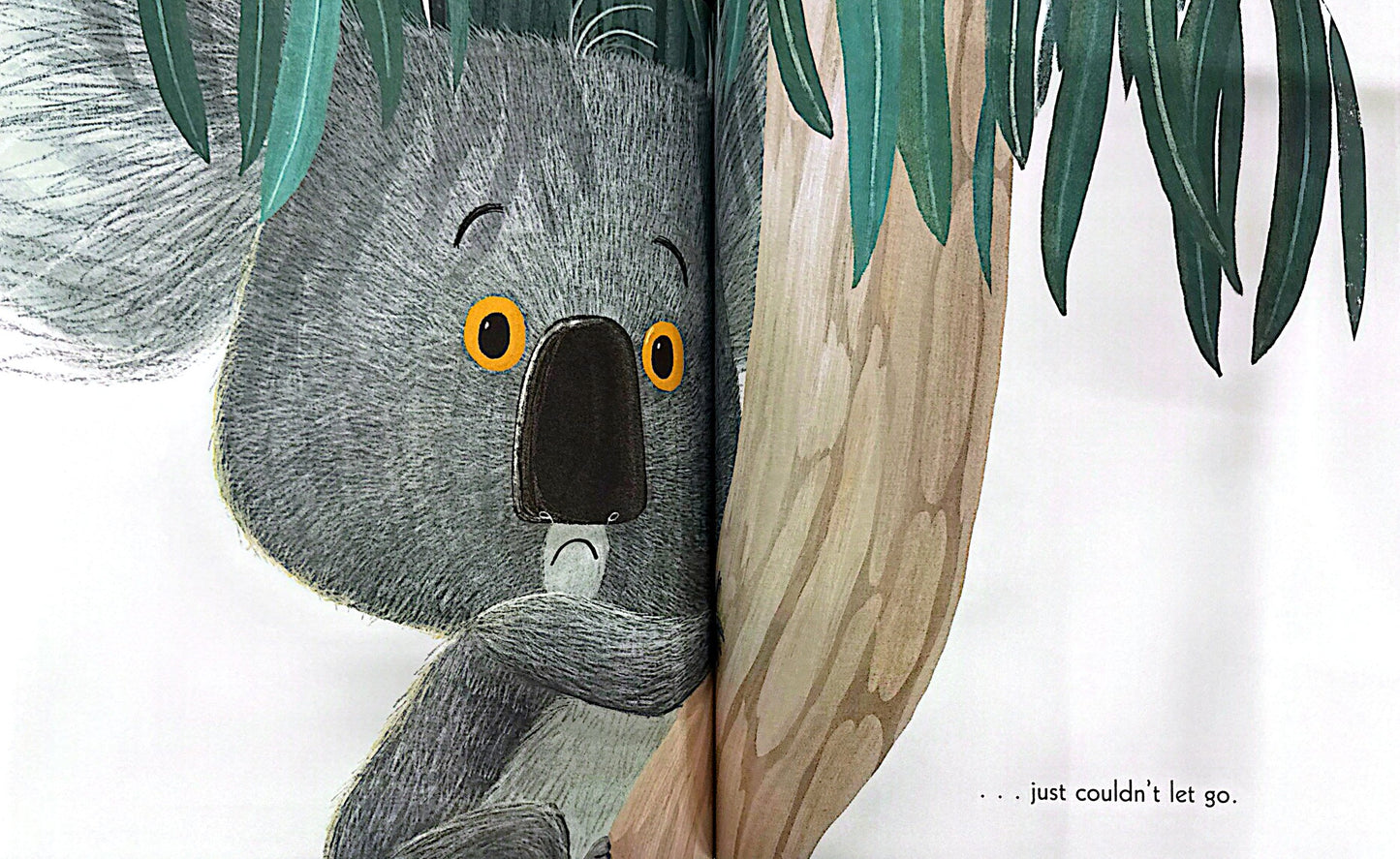 The World Of Rachel Bright & Jim Field: The Koala Who Could (Paperback)