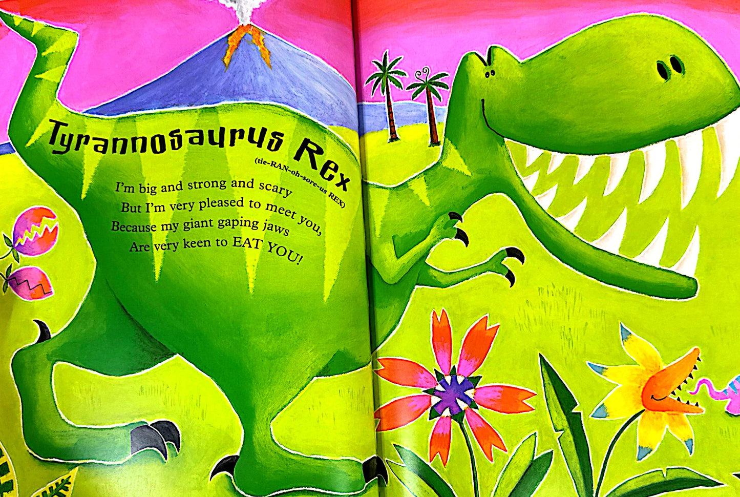 Mad About Dinosaurs! (Paperback)