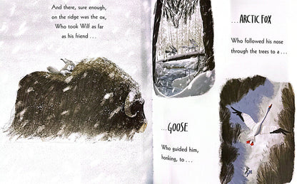The World Of Rachel Bright & Jim Field: The Way Home For Wolf (Paperback)