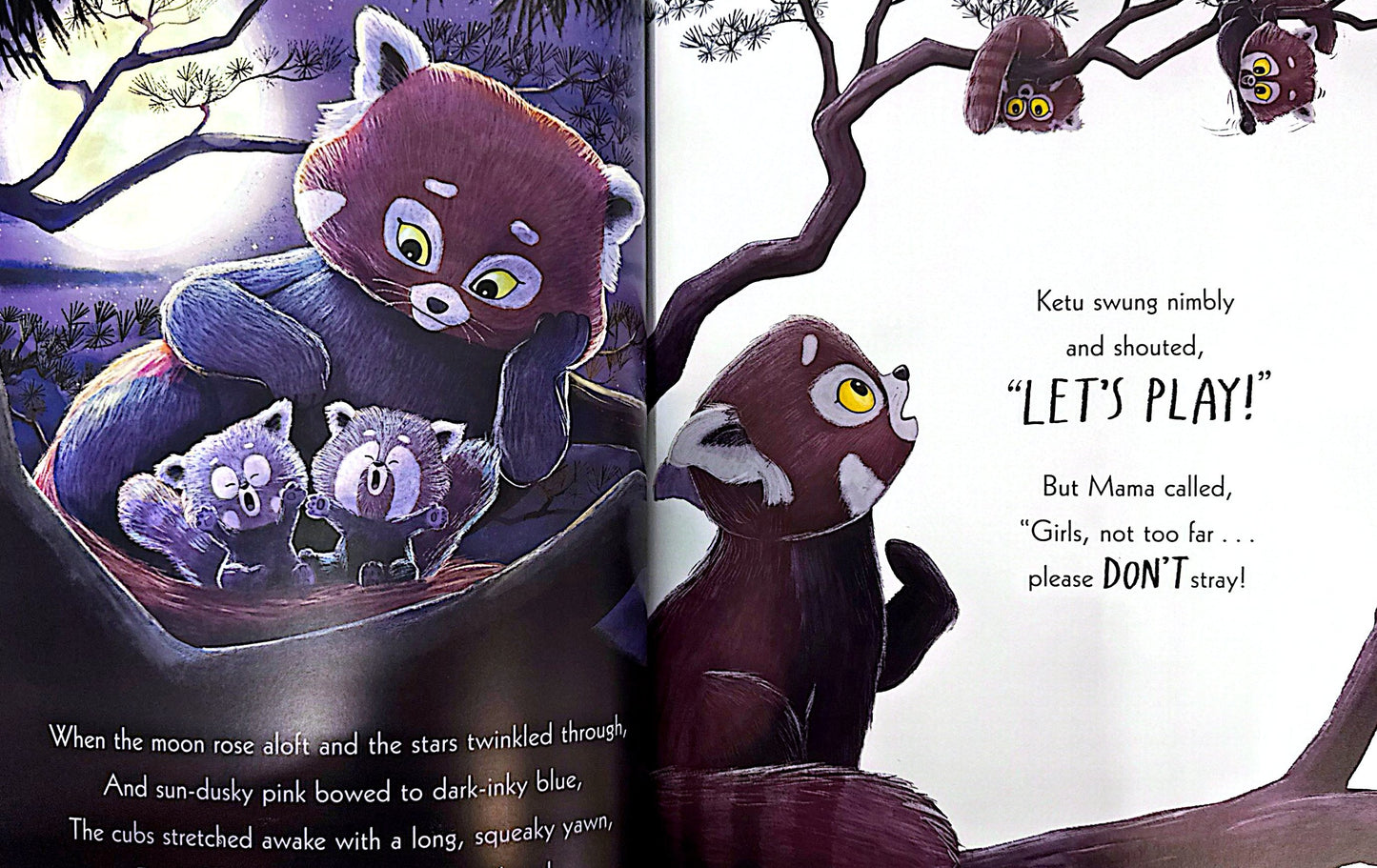 The World Of Rachel Bright & Jim Field: The Pandas Who Promised (Paperback)