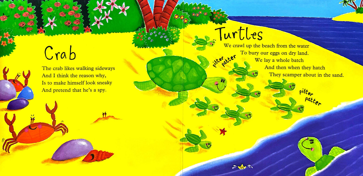 Commotion in the Ocean Board Book (Board book)