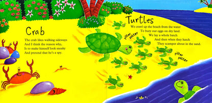 Commotion in the Ocean Board Book (Board book)