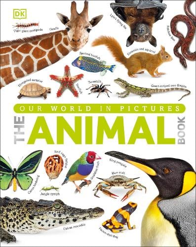 The Animal Book: A Visual Encyclopedia Of Life On Earth (Hardback)