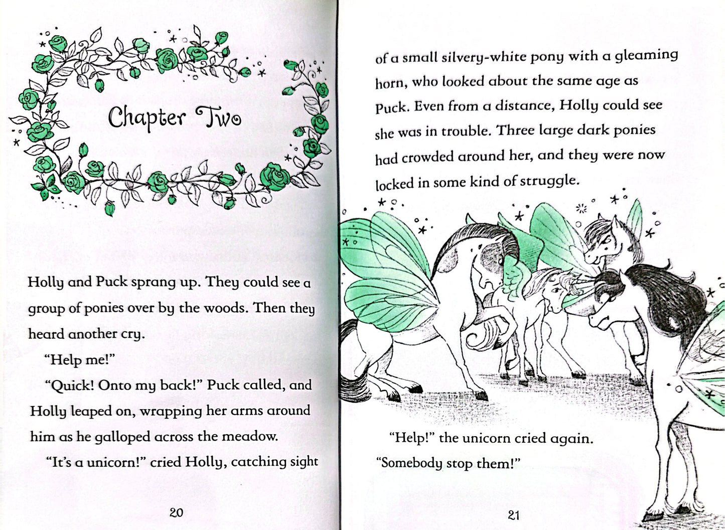 Fairy Ponies Unicorn Prince (Hardback)