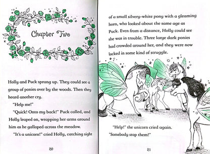 Fairy Ponies Unicorn Prince (Hardback)