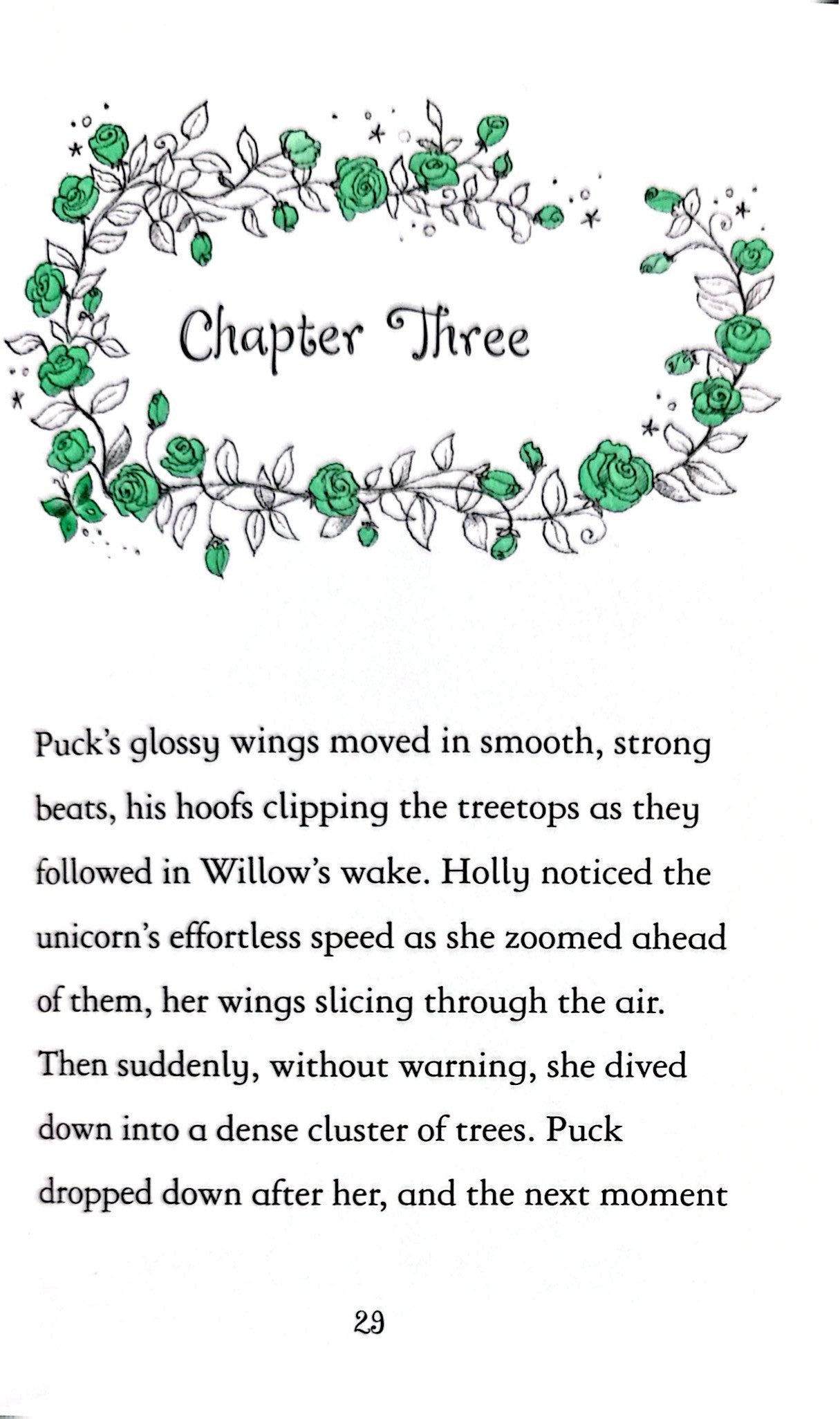 Fairy Ponies Unicorn Prince (Hardback)