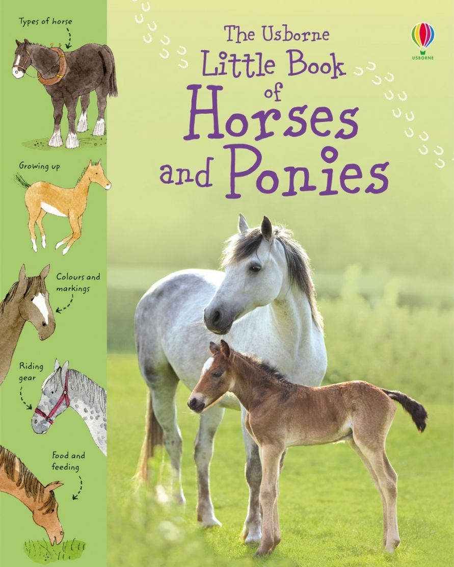 Little Book of Horses and Ponies (Hardback)