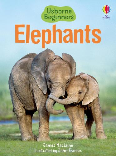Usborne Beginners: Elephants (Hardback)