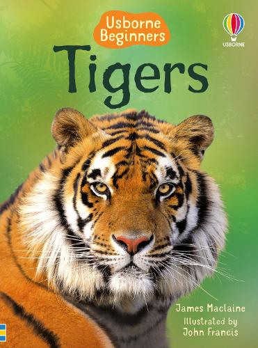 Usborne Beginners: Tigers (Hardback)