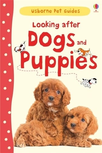 Looking after Dogs and Puppies (Hardback)
