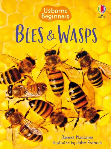Usborne Beginners: Bees and Wasps (Hardback)