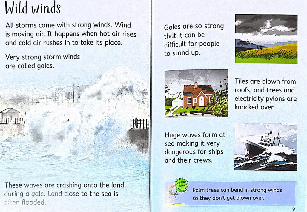 Usborne Beginners: Storms and Hurricanes (Hardback)