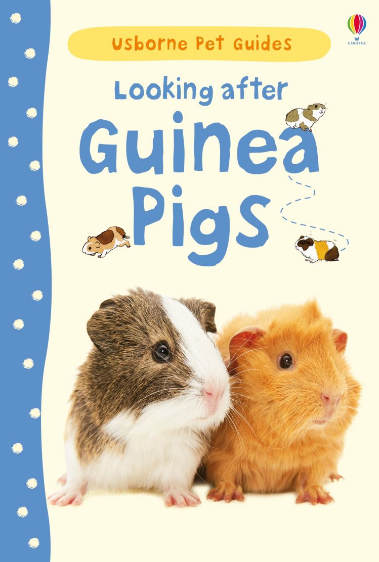 Looking after Guinea Pigs (Hardback)