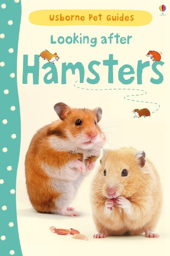 Looking after Hamsters (Hardback)