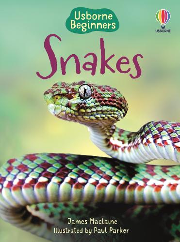 Usborne Beginners: Snakes (Hardback)